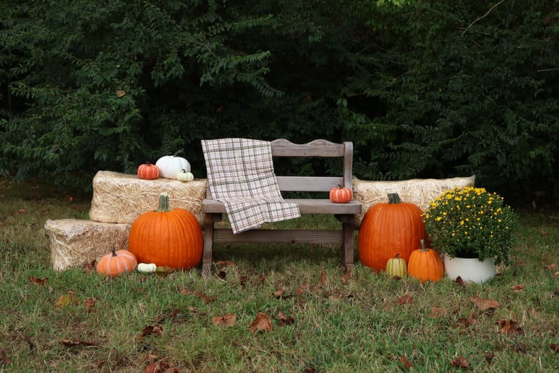 Seasonal Session